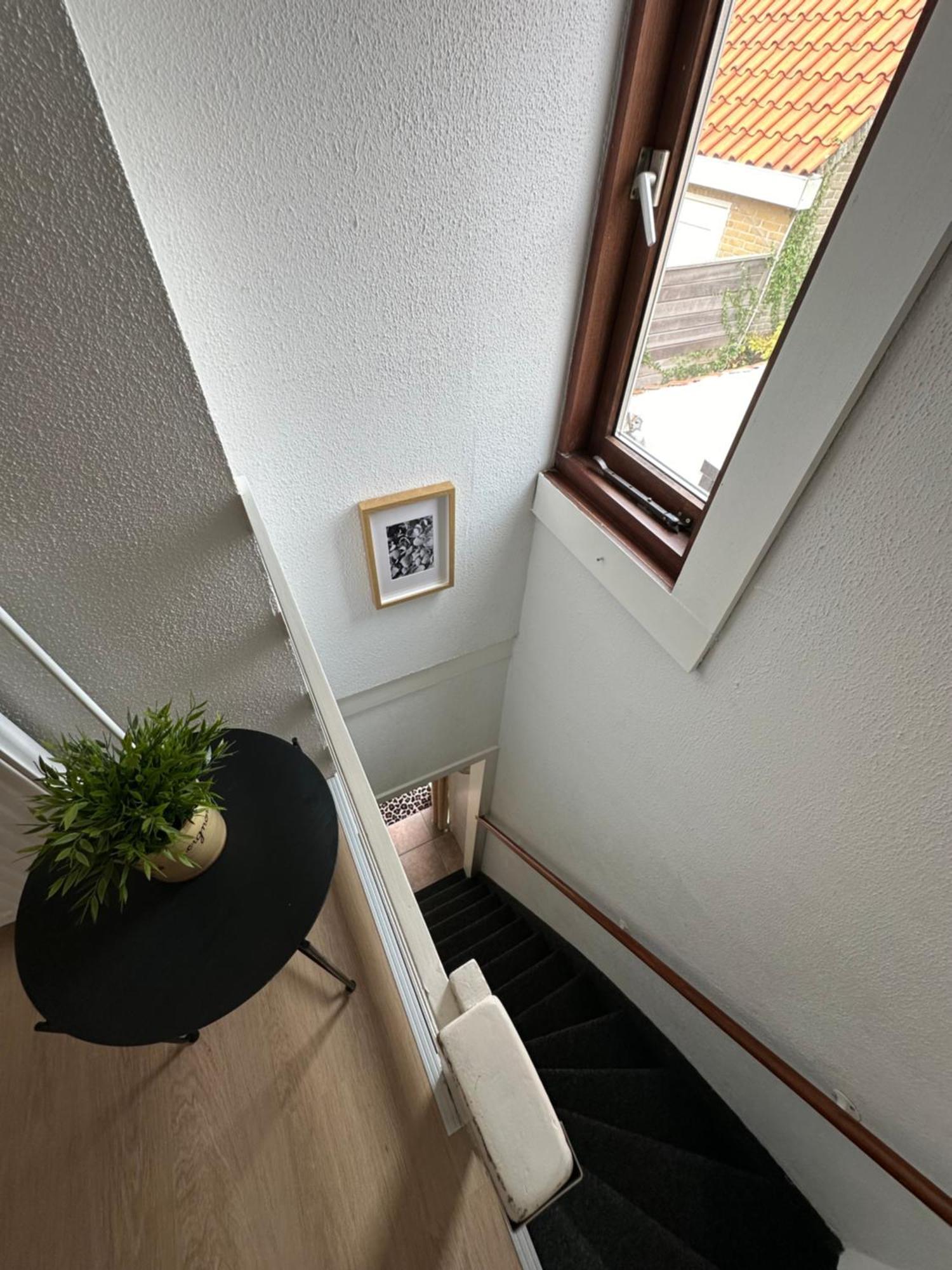 Cosy Home Zandvoort Buitenkant foto